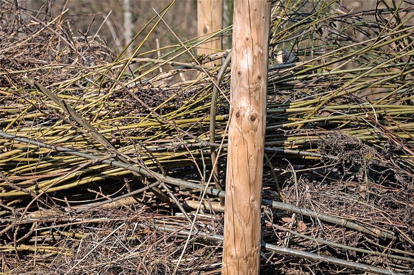 Reisighecken und Blumenerde: In Reisighecken, die aus abgeschnittenen Ästen geba...