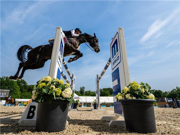 Reiter mit Pferden auf grüner Wiese symbolisieren verbesserte Bedingungen für Reitsport und Pferdehaltung