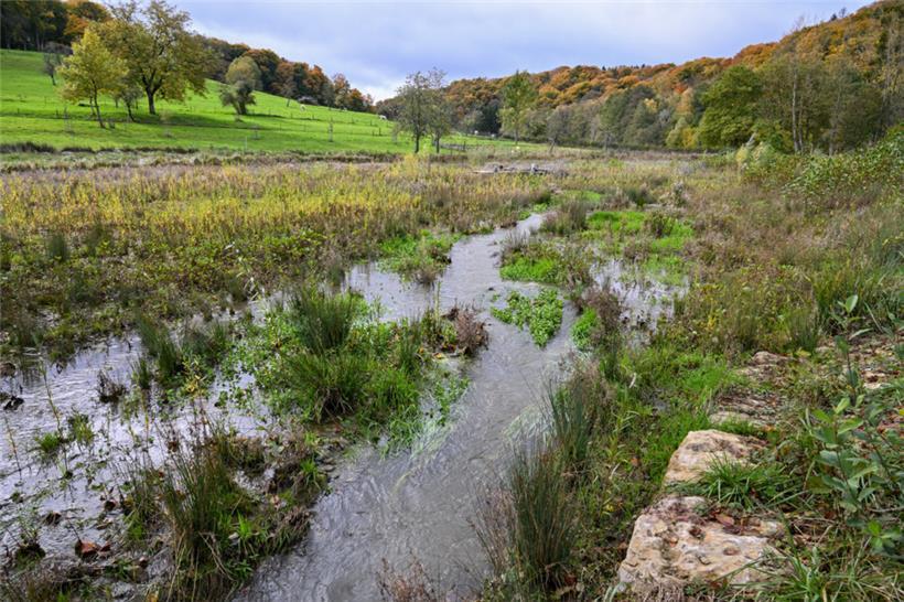 Renaturierte Syr: Mehr Platz für das Wasser und für die Natur
