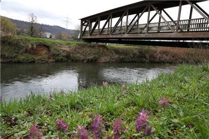 Renaturierung der Alzette in Steinsel 

