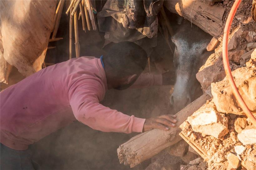 Rettung eines eingeklemmten Esels