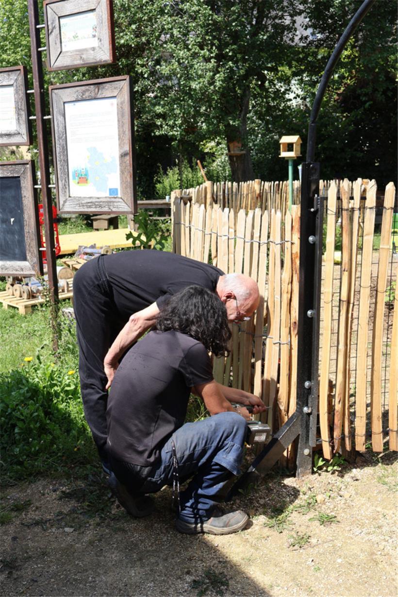 Säen, gießen, ernten: Im Gemeinschaftsgarten entdecken die Teilnehmer viele vers...