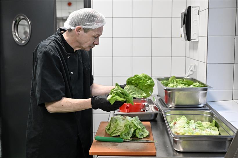 Salatköpfe werden einer akribischen Musterung unterzogen