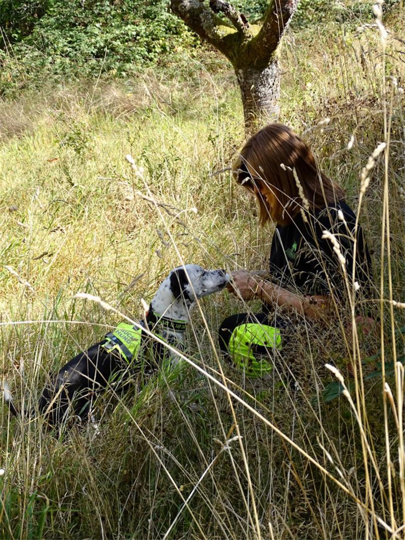 Sally hat soeben Hannah im Gras entdeckt und bekommt zur Belohnung Leberwurst aus der Tube
