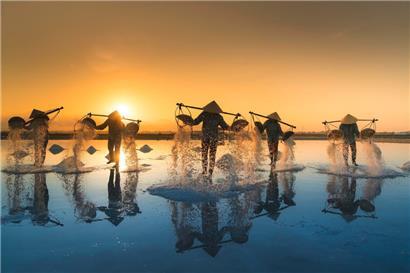 Salzernte in Vietnam
