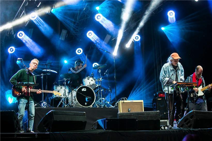 Samedi le 08 Septembre 2018 à Esch sur Alzette, Festival Franco Folies 2018, photographe Tania Feller, photo : Seed to Tree
