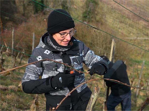 Sandra bevorzugte eindeutig die moderne Methode beim Binden der Reben
