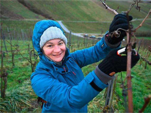 Sandra lässt sich auch von Wind und Schneefall nicht aus der Ruhe bringen
