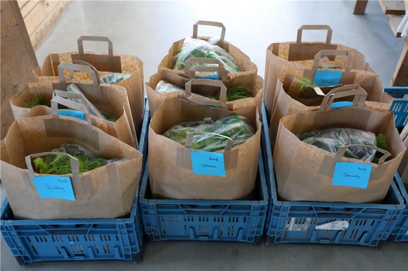 Sandrine Pingeon verkauft selbst produziertes Obst und Gemüse. Mittwochs werden die Tüten ihrer Kunden gepackt, donnerstags können sie abgeholt werden. 
