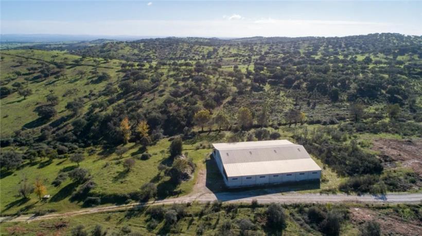 Sanfte Hügel, weite Wiesen: das neue Pangea-Elefantenreservat in Portugal
