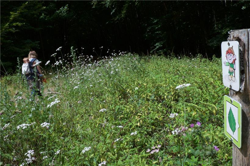 Sanfter Tourismus im Norden: „Mam Robi duerch de Bësch“ im Parc Hosingen 
