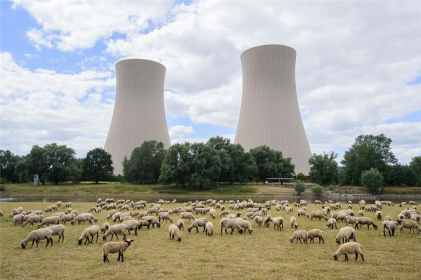 Schafe grasen auf einer Wiese an der Weser vor dem stillgelegten Atomkraftwerk Grohnde. Der Tüv-Verband hält eine rasche Wiederinbetriebnahme der drei Atomkraftwerke, die Ende vergangenen Jahres stillgelegt wurden, für möglich. Die Ampelregierung muss entscheiden.
