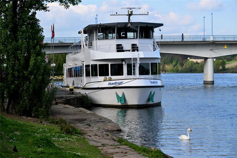 Schifffahrt zerstört das Gleichgewicht des Ökosystems
