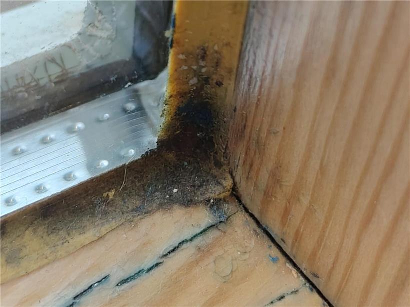 Schimmelbefall an Fensterrahmen der alten Haushaltsschule, sichtbare Feuchtigkeitsschäden, Foto für Gemeindeverantwortliche