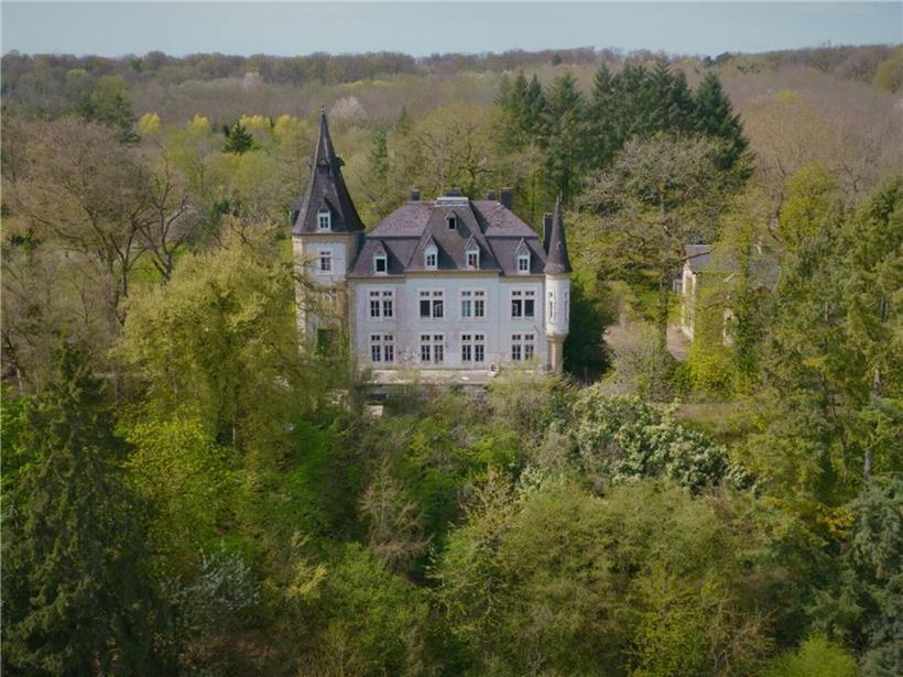 Schloss Buschland im Grünen, idyllisch gelegen, zeigt historischen Verfall trotz Potenzial für Nutzung und Sanierung