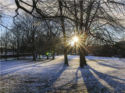 Schneebedeckte Landschaft in Luxemburg, seltenes Winterphänomen mit weißem Schnee und klarem Himmel