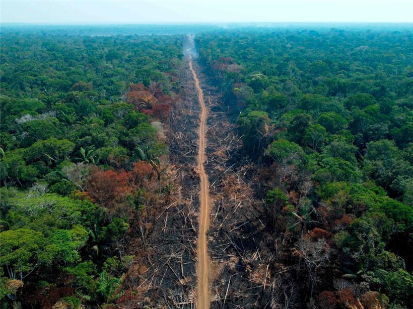 Schneise der Zerstörung: am Transamazonian Highway in Humaitá, Brasilien
