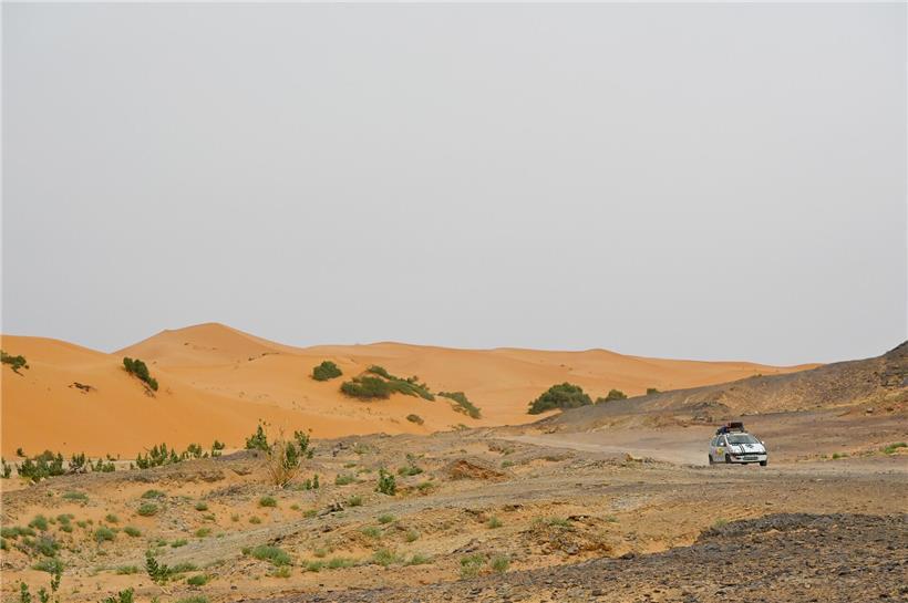 Schöner Renault Twingo parkt urban, kein typischer Sonntagsausflug, modernes Stadtauto in lebendiger Umgebung
