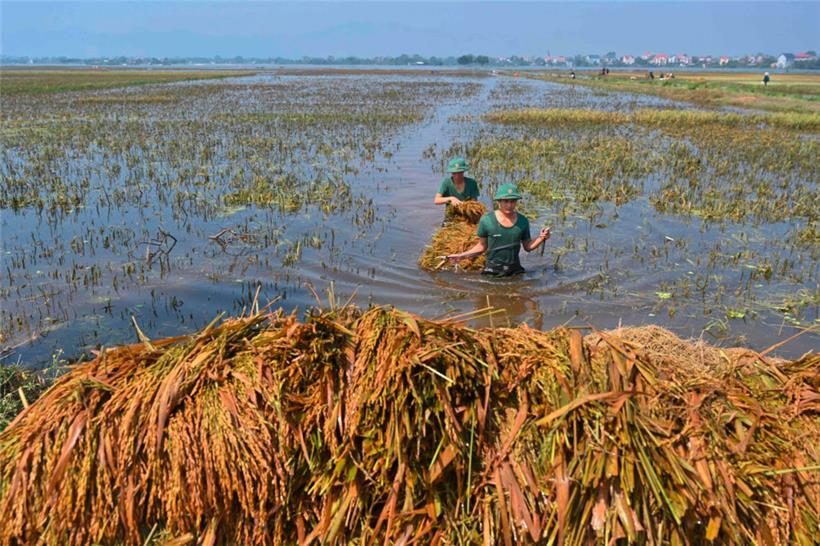 Schwere Überschwemmungen in Zentralvietnam haben drei Menschen getötet und mehr als 10.000 Bewohner gezwungen, ihre Häuser zu verlassen

