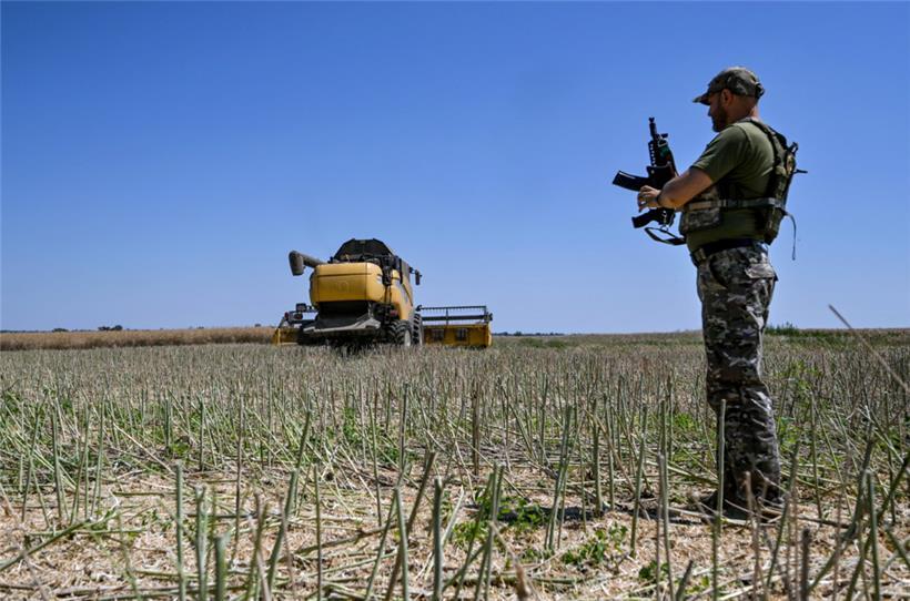 Schwerter und Pflugscharen: Ein Soldat steht 2022 zur Erntezeit in der Ukraine auf einem Feld.
