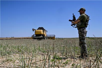 Schwerter und Pflugscharen: Ein Soldat steht 2022 zur Erntezeit in der Ukraine auf einem Feld.
