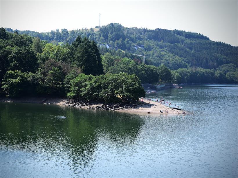 Schwimmen ist grad nicht: Blaualgen vermiesen bei hochsommerlichen Temperaturen den Badespaß
