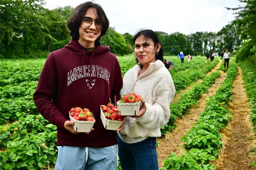 Sechs Euro kostet das Kilo selbstgepflückter Erdbeeren
