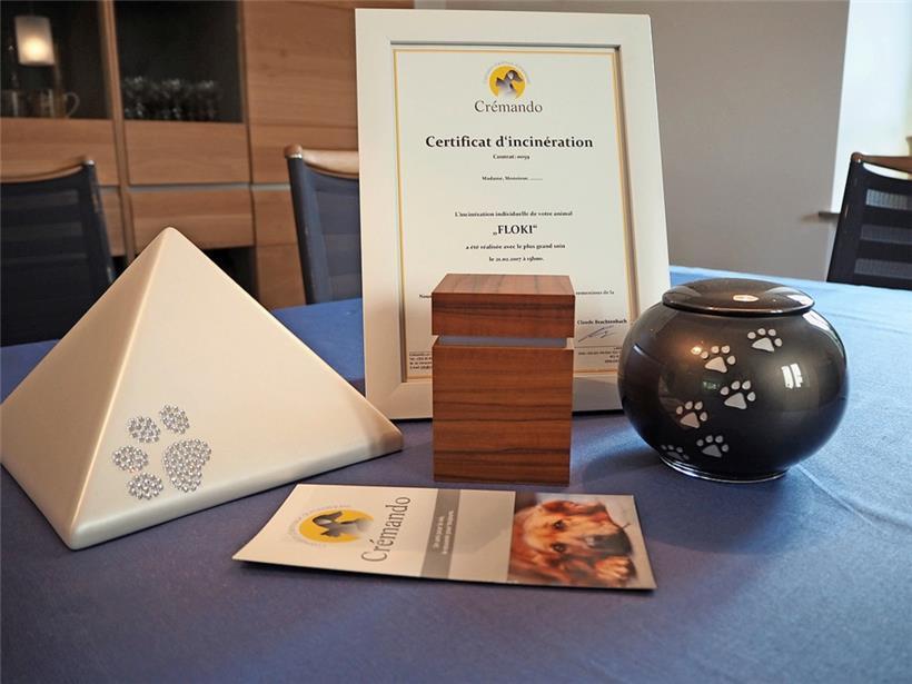 Sein Haustier im Ausland verbrennen lassen und dann die Urne mit der Asche erhalten, viel mehr Möglichkeiten gibt es für Luxemburger Tierhalter nicht 
