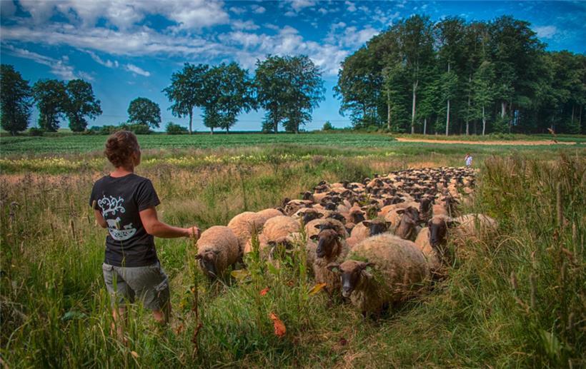 Seit die Echternacher Springprozession zum weltweit gelisteten Immateriellen Kulturerbe gehört, ist die Motivation, weiteres „immaterielles Kulturerbe“ durch internationale Anerkennung aufzuwerten, gestiegen

