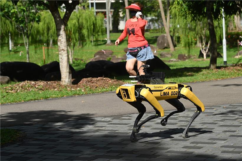 Seit ein paar Tagen schaut Roboter-Hund „Spot“ in Singapurs Parks nach dem rechten Abstand  
