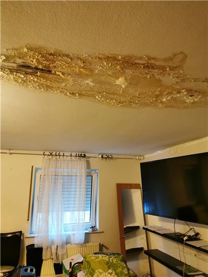 Seit einem Jahr tropft es im Sekundentakt von der Decke. Die Folgeschäden sind deutlich zu erkennen.
