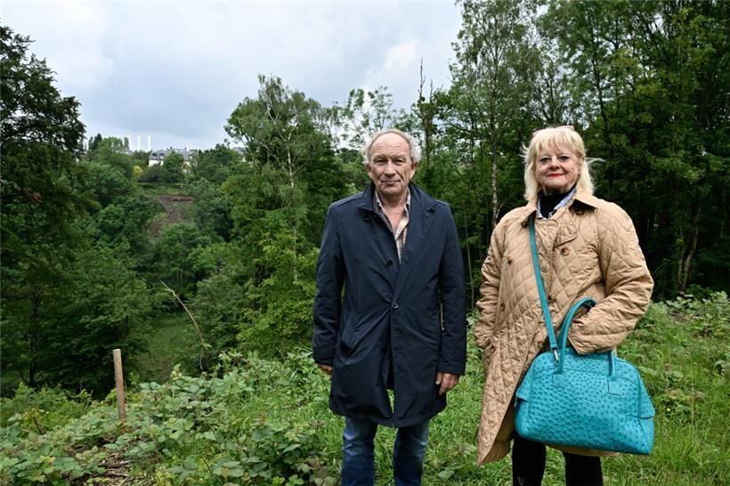 Seit rund 17 Jahren setzen Roger Braun und Danielle Castellaneta-Metzeler sich beim Neudorfer Interessenverein gegen das Projekt einer Überführung ein, die von Cents nach Weimershof (im Hintergrund) führen soll
