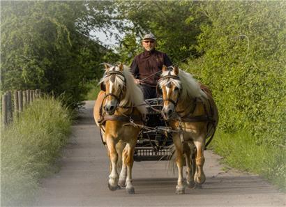 Seit über 30 Jahren widmet sich Norb Schumacher mit Herz und Seele dem Weinbau, der Haflingerzucht und dem Fahrsport
