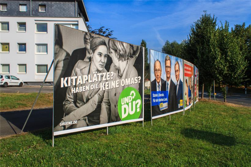 Sinn und Unsinn im Wahlkampf: Wahlplakate im Jahr 2013, von Unbekannten durch inhaltsleere Nonsens-Poster ersetzt
