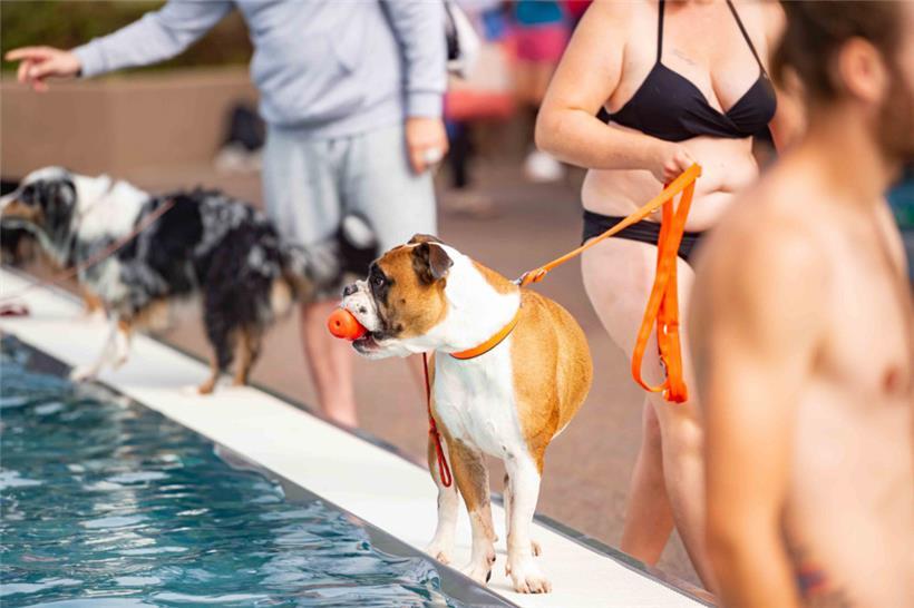So bunt und flauschig geht es im Beforter Schwimmbad selten zu