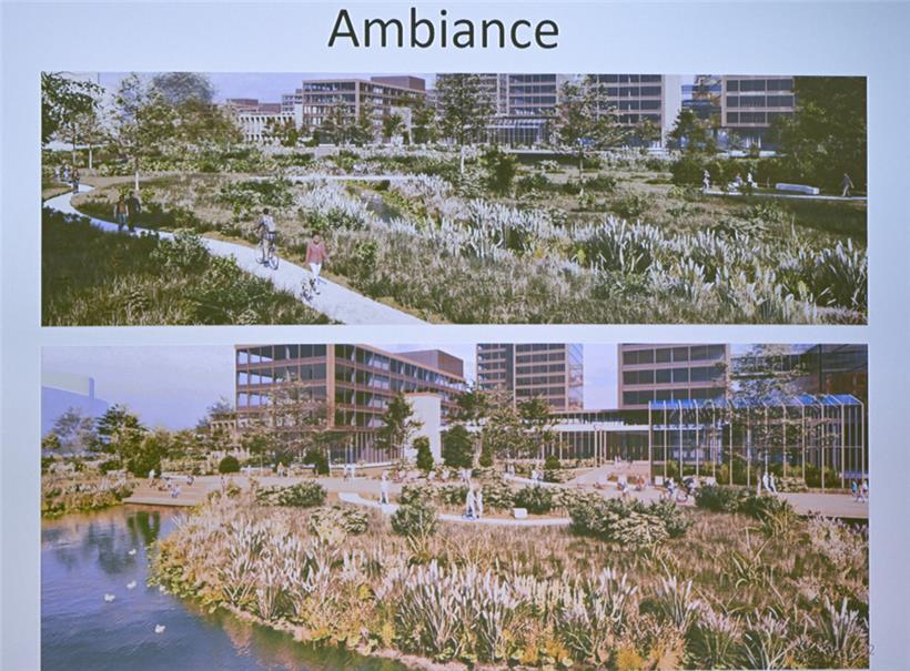 So oder so ähnlich könnte die Umgebung des Campus einmal aussehen 
