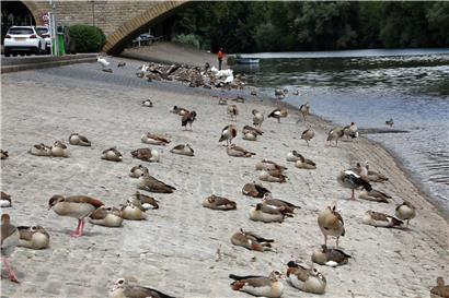 So sah es am Donnerstagnachmittag an der „Spatz“ aus 
