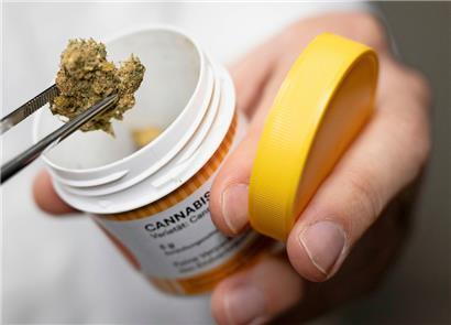 So sehen Cannabisblüten zur medizinischen Behandlung aus
