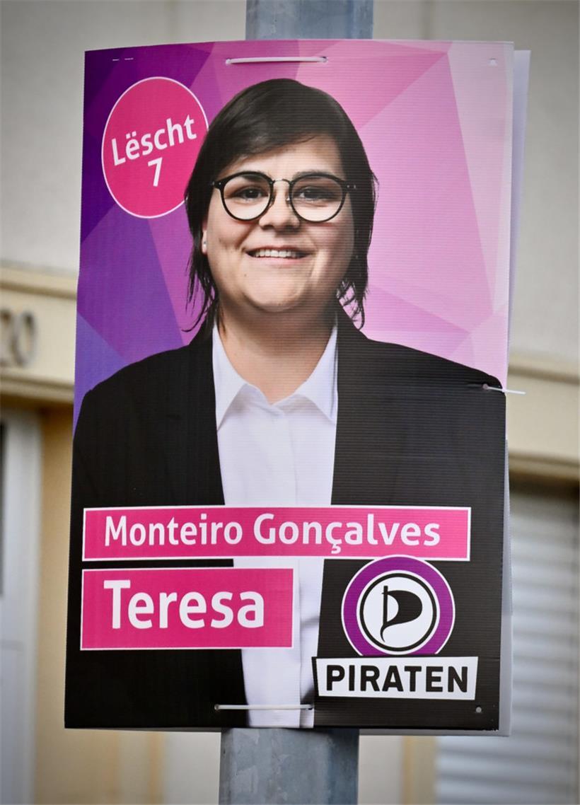 So sehen die Hohlkammerplakate der Piraten aus
