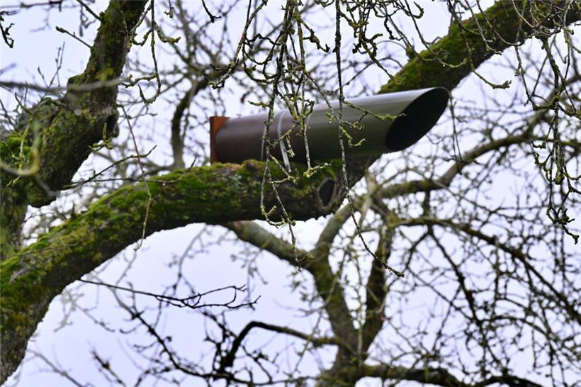 So sehen die Nistkästen aus