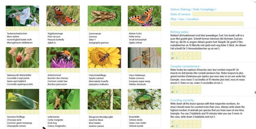 So sehen die Zählkarten der Aktion „Méi wéi Beien! Ziel mat!” aus