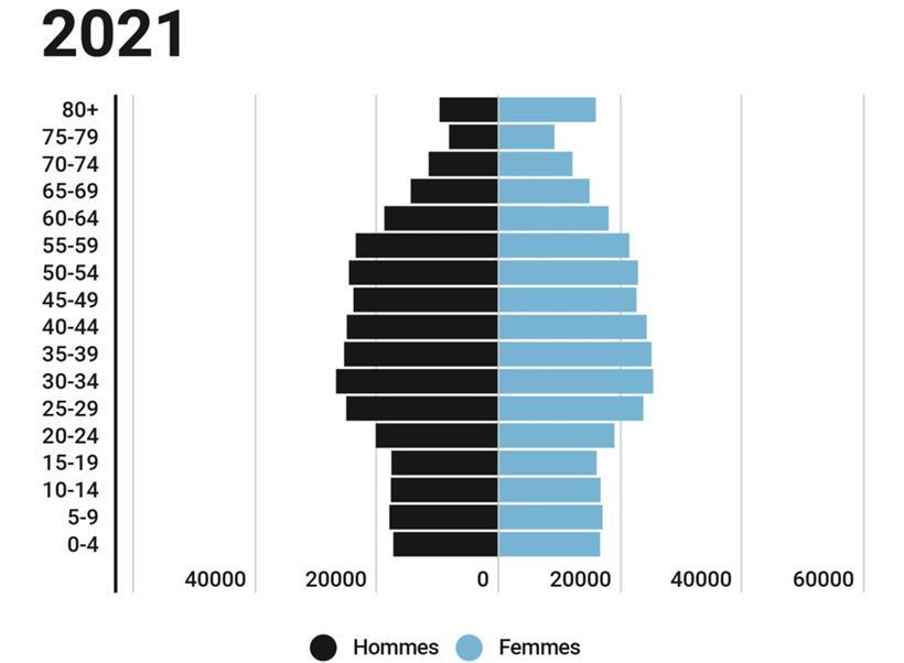So sieht die Alterspyramide der Bevölkerung für das Jahr 2021 aus
