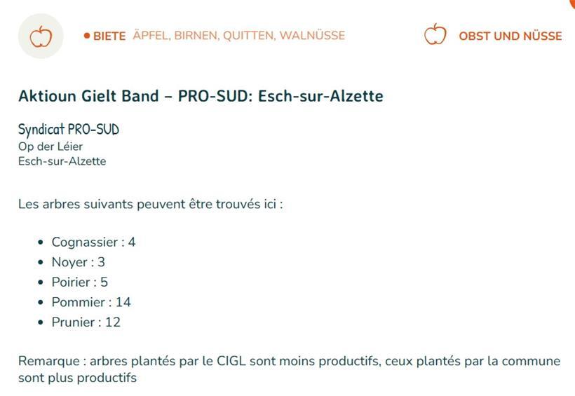 So sieht ein Inserat der Webseite kierfchen.lu aus
