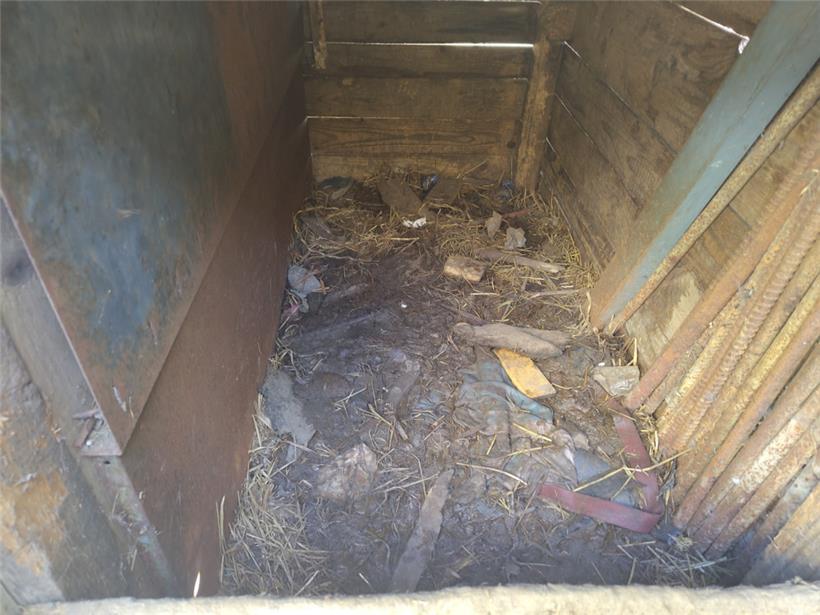 So sieht es in den Hundehütten aus 
