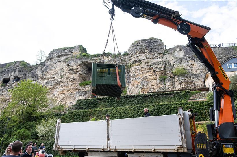 Kran hebt volle Wannen auf Laster in industrieller Baustelle bei Verladung von Materialien