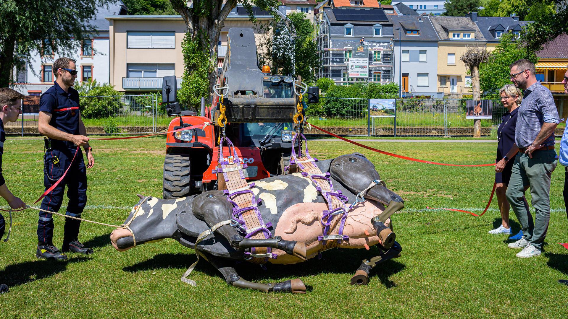 Rettungskräfte des CGDIS bergen eine Kuh aus Wasser und Schlamm auf landwirtschaftlichem Gelände