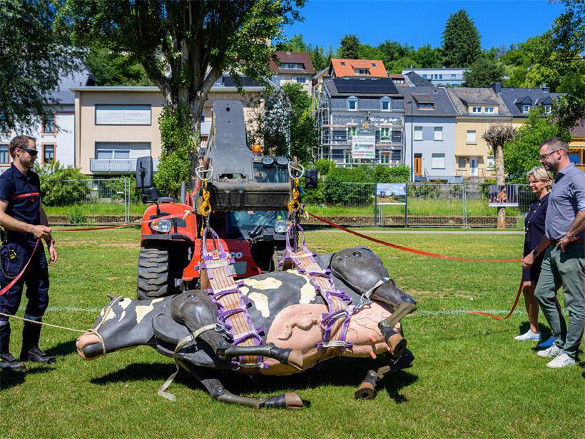 Rettungskräfte des CGDIS bergen eine Kuh aus Wasser und Schlamm auf landwirtschaftlichem Gelände