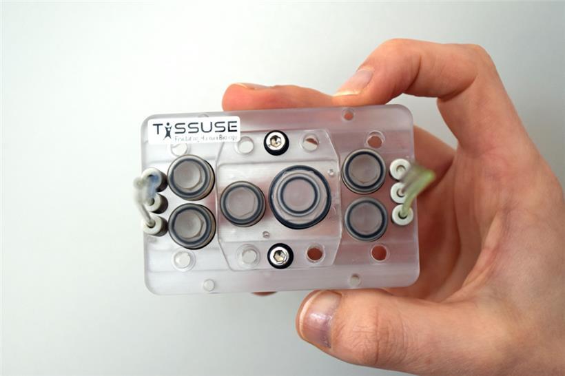 Solche Chips sollen Tierversuche ersetzen
