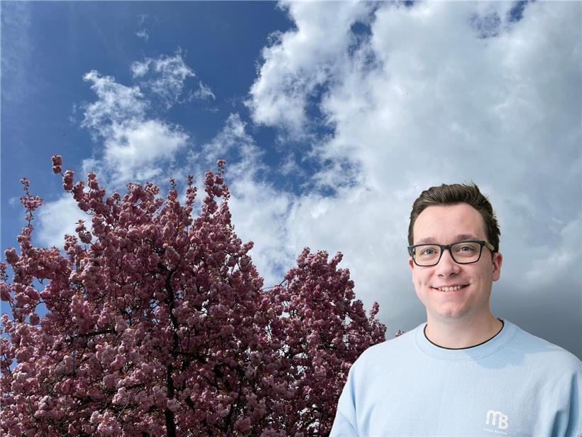 Grau bewölkter Himmel mit leuchtenden rosa Kirschblüten als Farbtupfer im Frühling