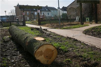 Spielplatz und Bäume müssen der öffentlichen Tiefgarage weichen. Als Baubeginn ist der Juni vorgesehen. 
